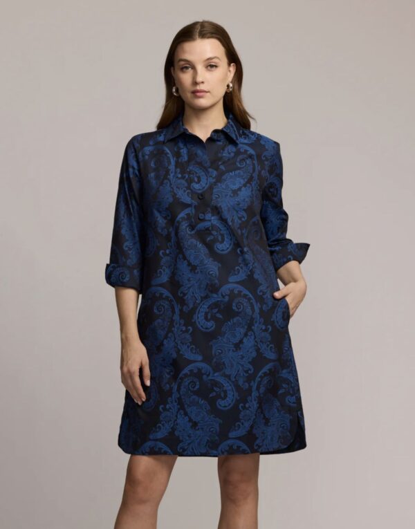 Hinson Wu Aileen 3/4 Sleeve Paisley Jacquard Dress