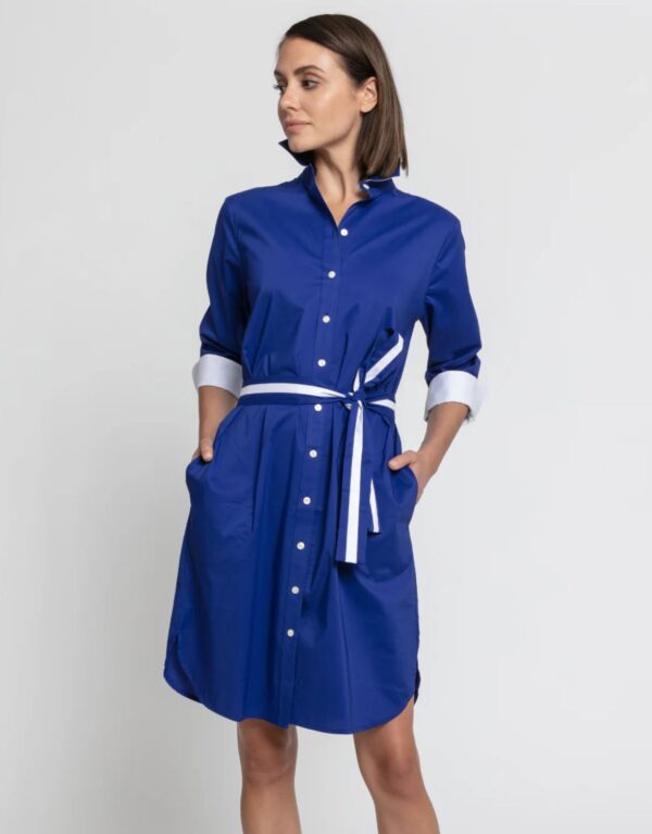 Hinson Wu Kathleen 3/4 Sleeve Stretch Polish Cotton Dress (FINAL SALE)